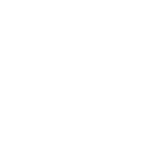 YoungCapital logo - a client using Code-Cube.io for marketing observability and tag monitoring.